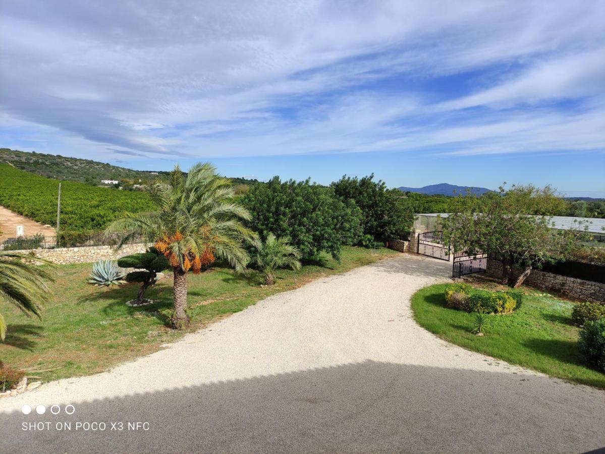 Finca Tierra Roja Cálig Exteriör bild